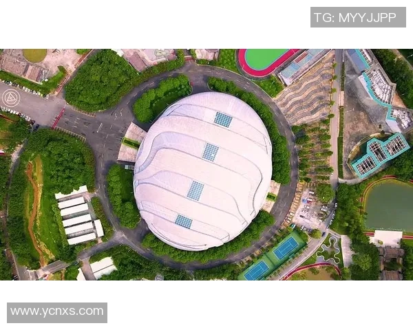 广州极限运动队的阵地战成败分析与未来发展展望